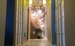 苏州男士养生精油店地址电话号码是多少号,地址电话一览，尊享健康养生之旅